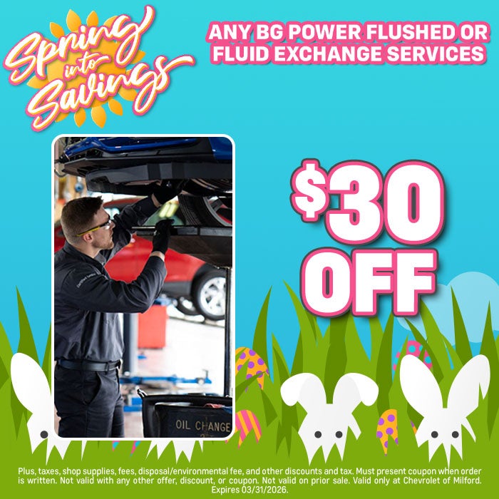 Any BG Power Flushed or Fluid Exchange Services