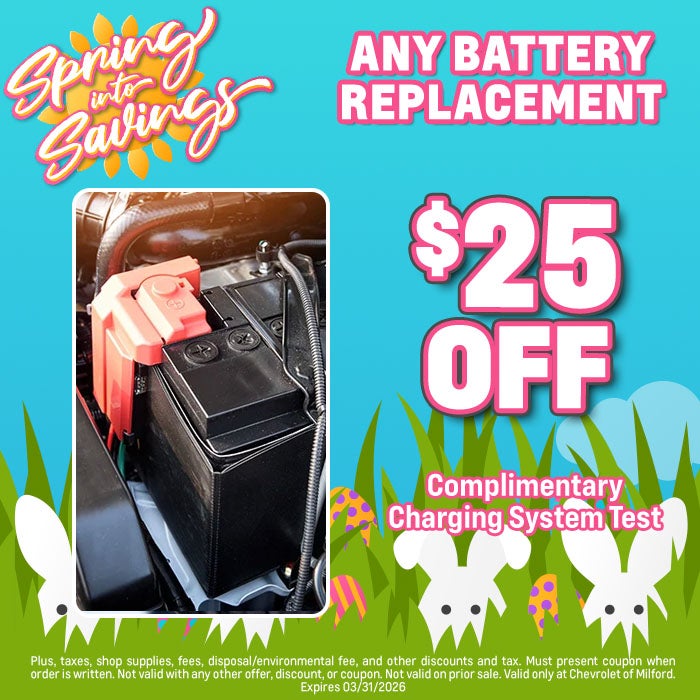 Any Battery Replacement